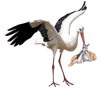 Naissance