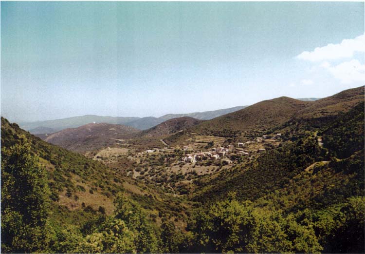 novella