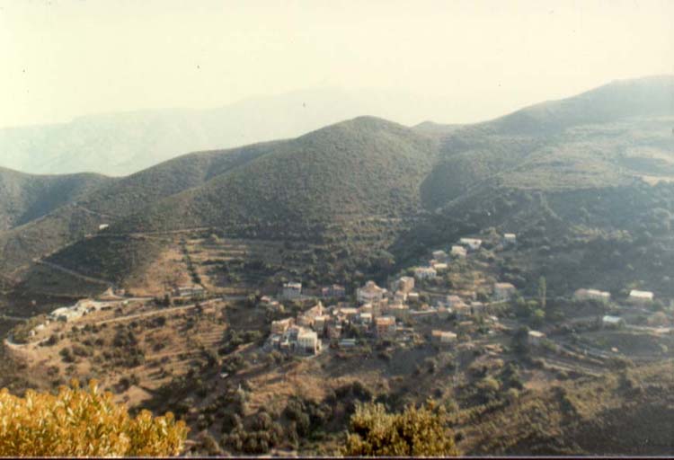 novella