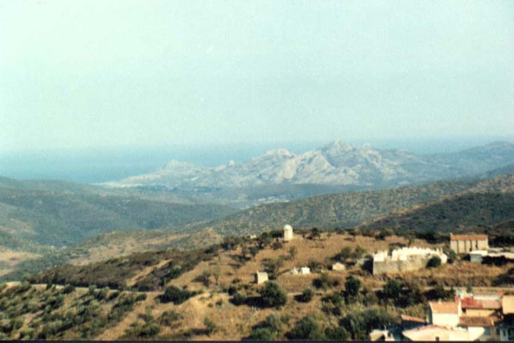 novella
