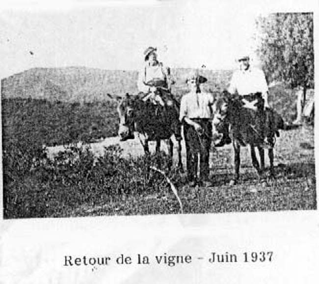 photo14